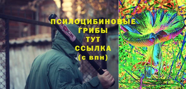 ГАЛЛЮЦИНОГЕННЫЕ ГРИБЫ Алексеевка