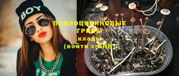 стафф Абдулино